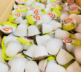THẠCH RAU CÂU NEW CHOICE HƯƠNG DỪA - BULK 9.08KG